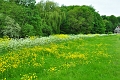 24 05 15_4285_edited-1